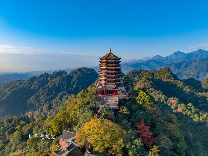 1764729758318257.jpg 5.jpg