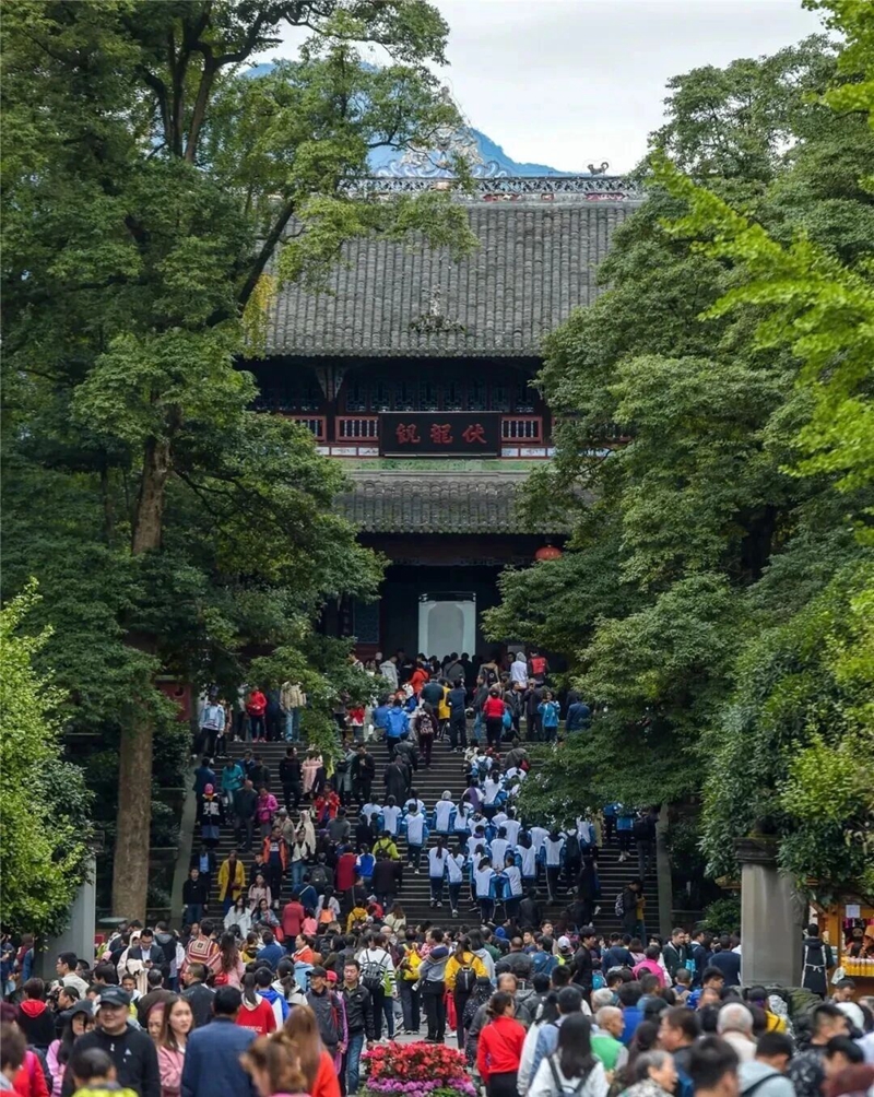 1764729776203307.jpg 7.jpg