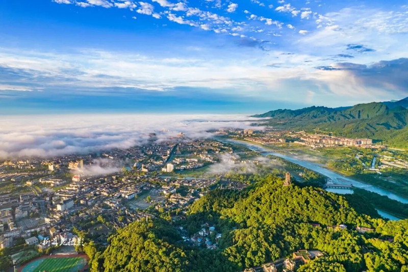 1764729785730560.jpg 8.jpg