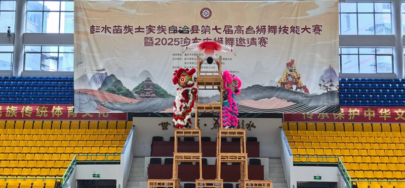 1765160891489753.jpg 2.jpg