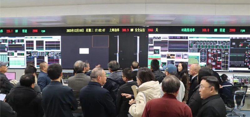 1765765769817600.jpg 2.jpg