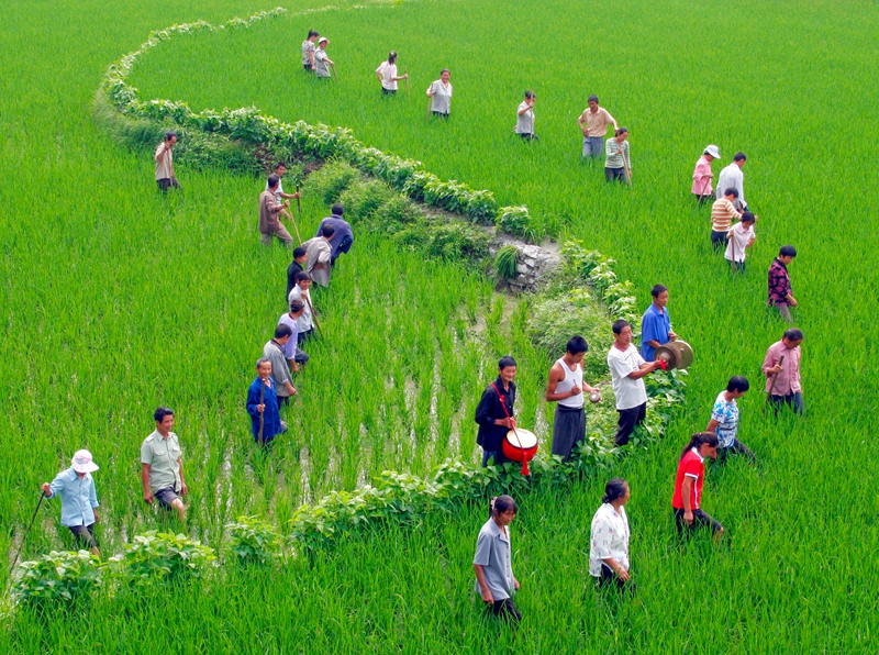 1765871746158460.jpg 3.jpg