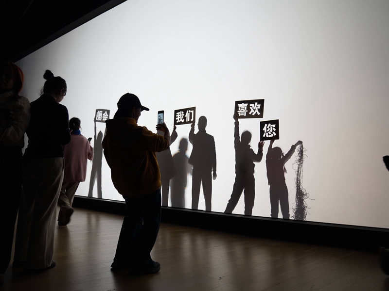 1771035639397263.jpeg 210817b4ouo48b9s44z9vj.jpeg