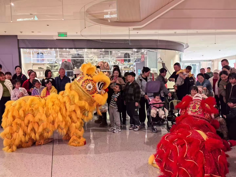 1772002767250055.jpg 4.jpg